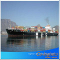 Ocean shipping service to New zealand from china